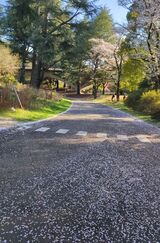 国営昭和記念公園