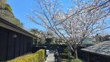 川喜多映画記念館
