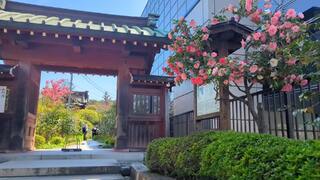 PHOTO 大巧寺#2