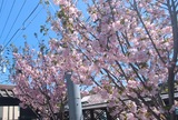 本覚寺