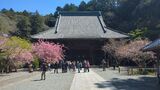 妙本寺