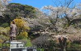 妙本寺