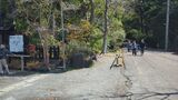 妙本寺