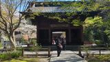 妙本寺