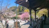 妙本寺