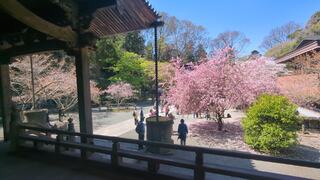 PHOTO 妙本寺#2