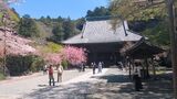 妙本寺