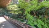 妙本寺