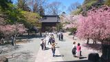 妙本寺