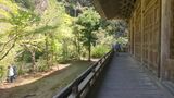 妙本寺