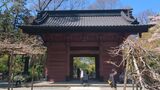 妙本寺