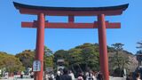 鶴岡八幡宮