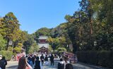 鶴岡八幡宮