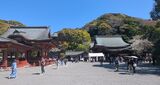 鶴岡八幡宮
