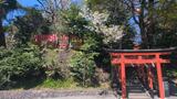 鶴岡八幡宮