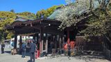 鶴岡八幡宮