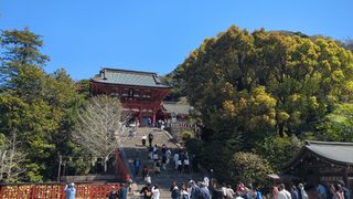 PHOTO 鶴岡八幡宮#1