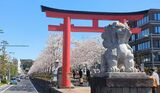 若宮大路・段葛