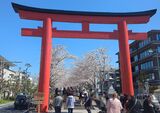 若宮大路・段葛