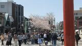 若宮大路・段葛