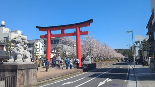 PHOTO 若宮大路・段葛#2