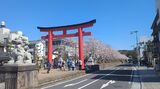 若宮大路・段葛