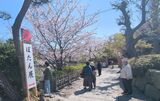神苑ぼたん庭園