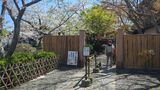 神苑ぼたん庭園