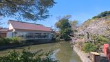 鶴岡八幡宮