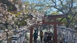 旗上弁財天社・政子石