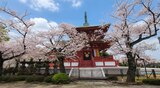 孝道山