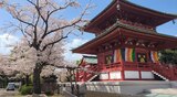 孝道山