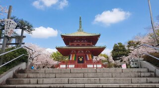 PHOTO 孝道山#3