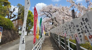 PHOTO 孝道山#4