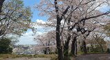 孝道山