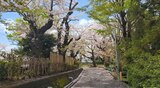 孝道山