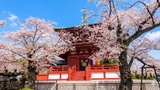 孝道山