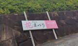 孝道山