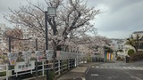 孝道山