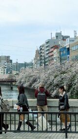大岡川プロムナード