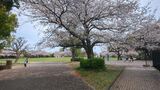 旧根岸競馬場一等馬見所