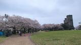 旧根岸競馬場一等馬見所