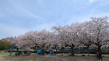 旧根岸競馬場一等馬見所