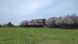 旧根岸競馬場一等馬見所