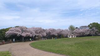 PHOTO 旧根岸競馬場一等馬見所#2