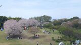 根岸森林公園