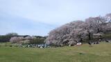 根岸森林公園