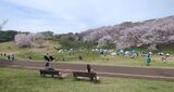 根岸森林公園