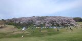 根岸森林公園