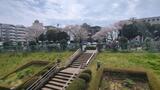 根岸森林公園
